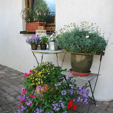 Appartement Wile Away