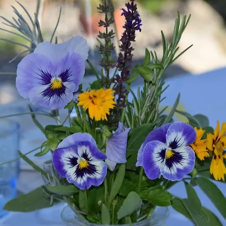 Wile Away アパート